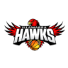 Hawks